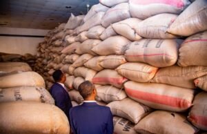 BENUE: BEYOND THE RHETORICS OF THE FOOD BASKET OF THE NATION