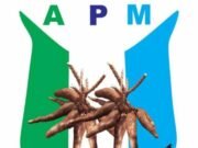 APM Denies Mass Defection, Says Makinde’s Adamasingba Event Was ‘Political Concert’