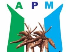 APM Denies Mass Defection, Says Makinde’s Adamasingba Event Was ‘Political Concert’