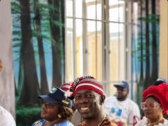 ADEKANMBI’S BEER-PARLOUR LIES AND SHARAFADEEN ALLI’S RISING TIDE —Ayinla Joseph